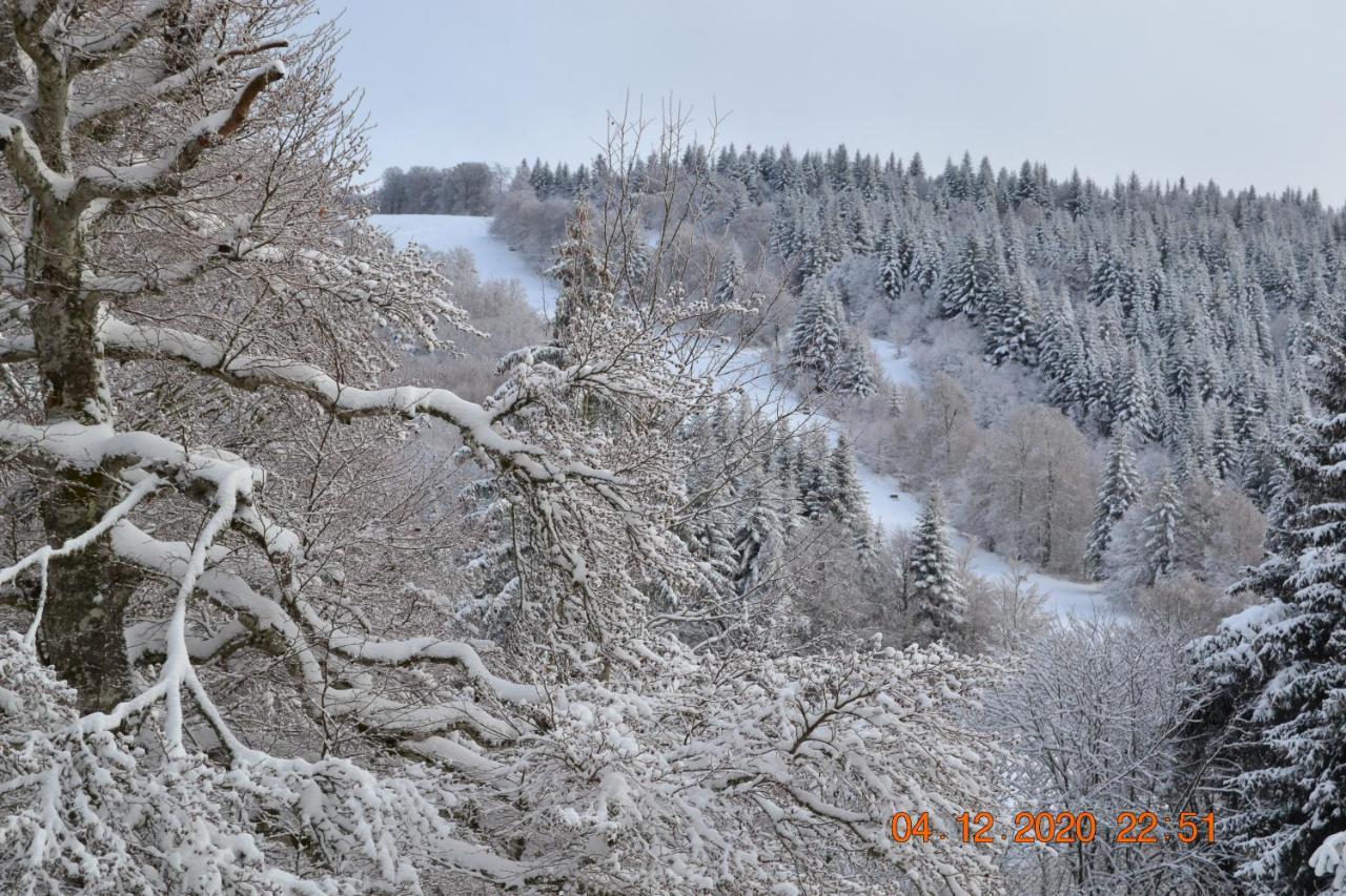 Апартаменты Lo Vedelier D'Aubrac Лайоль Экстерьер фото