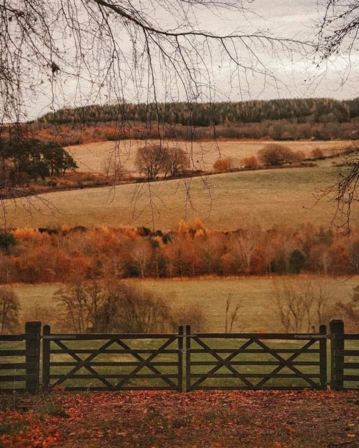 Апартаменты Lo Vedelier D'Aubrac Лайоль Экстерьер фото